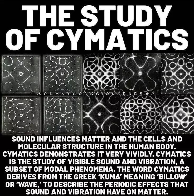 Vibrational Affects On&nbsp;Humans